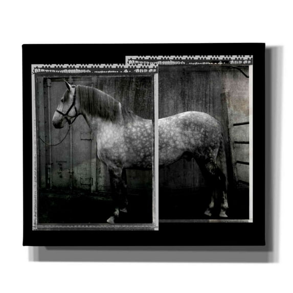 Epic Graffiti 'Vito 2' by Susan Friedman,, 24"x20"