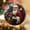 Santa Claus 9, variant on Gingerbread Man Custom Ornaments 2025, Gingerbread Man Ornament, Gingerbread Man Christmas Hanging Decor, Gingerbread Man Ornaments for Christmas Tree. jMpEmG (Gingerbread Man 1)