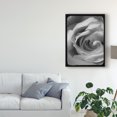 thumbnail image 3 of Trademark Fine Art 'Rose Spiral I' Canvas Art by Judy Stalus, 3 of 4