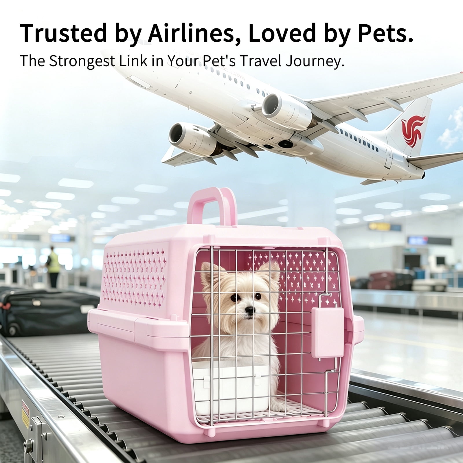 MidWest Homes For Pets, Cat Pet Carrier Dog Top Load, 19 inch blue