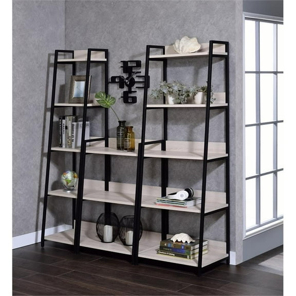 Bowery Hill Contemporary Bookshelf in Natural and Black