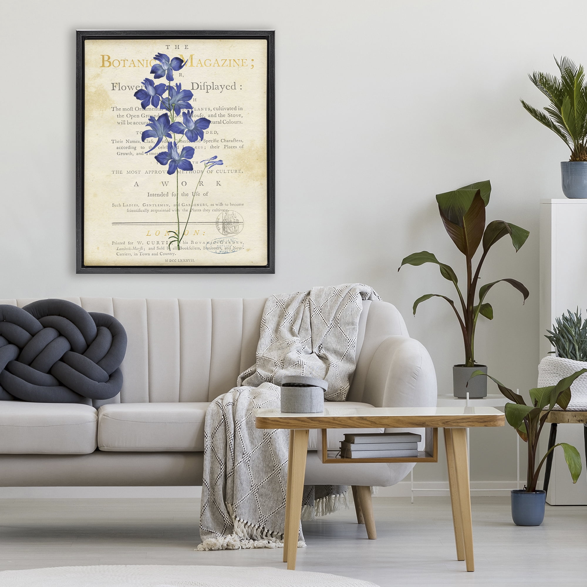 Stupell Industries Natural Botanic Garden Flower Black Framed Floater Canvas Wall Art, design by Susan Arnot