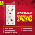 thumbnail image 4 of Catchmaster Brown Recluse Spider Giant Glue Boards 6Pk, Spider Killer Glue Traps for Home, 4 of 8