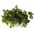 thumbnail image 3 of Nearly Natural Pothos with White Wash Planter - Silk Plant Green, 3 of 5