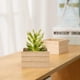 thumbnail image 5 of Cajas de madera rústicas Sunjoy Tech: caja de madera sin terminar para manualidades, decoración del hogar y centros de mesa., 5 of 8