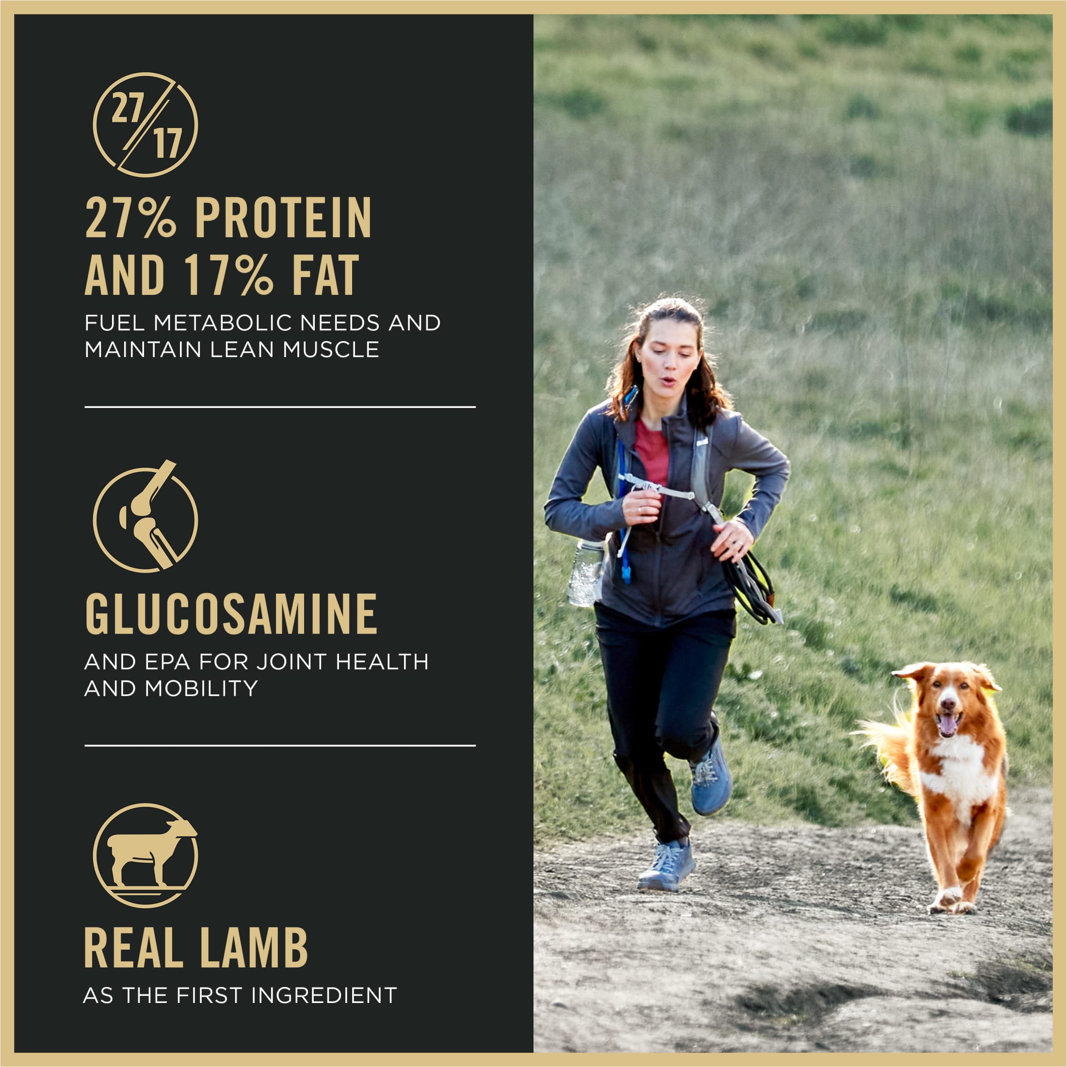 Purina Pro Plan Sport Performance Lamb Rice 37.5 lb photo 3