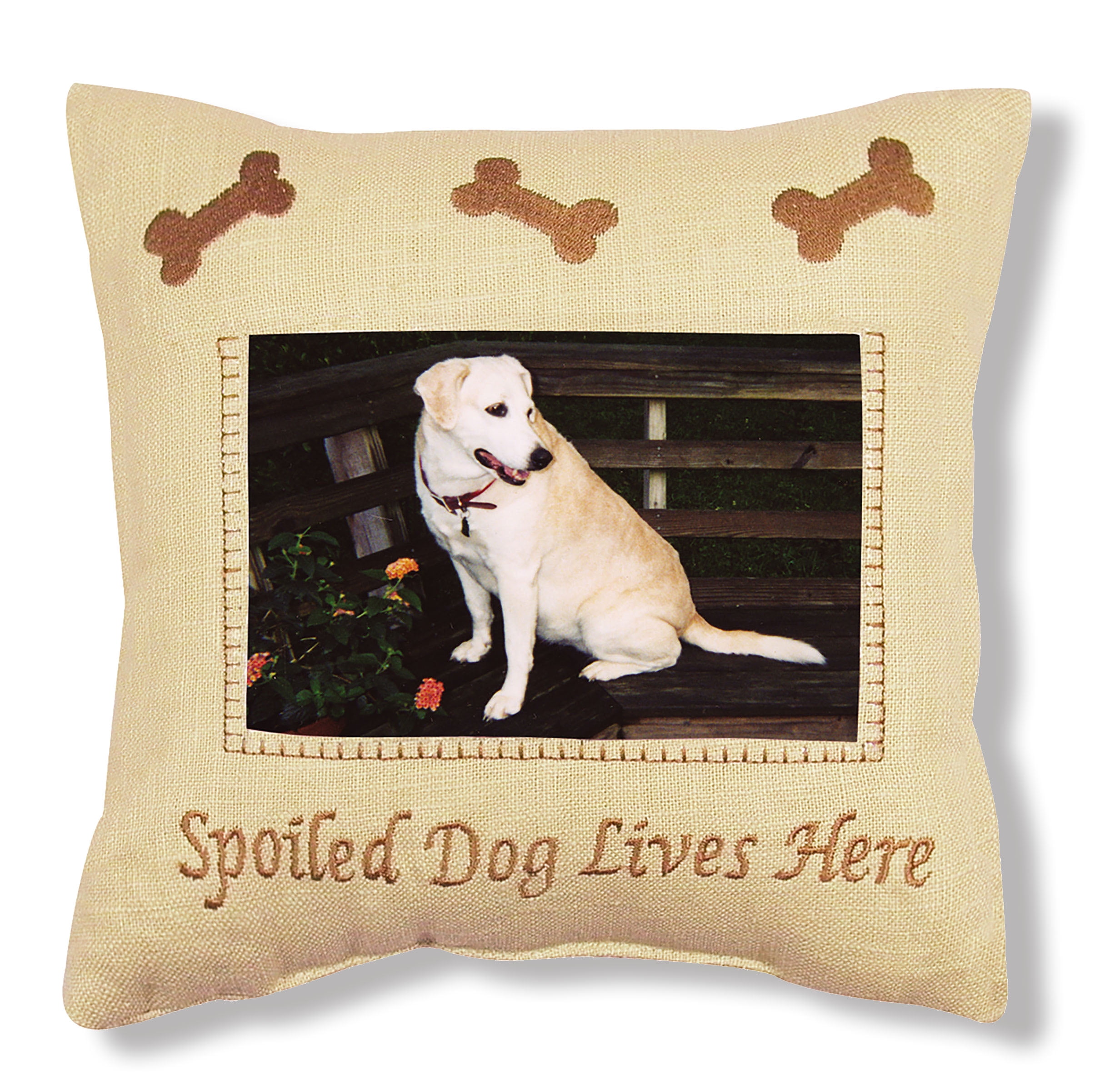 Should I Give My Dog A Pillow