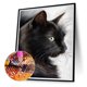 thumbnail image 3 of Cuadros Decorativos Gato negro 5D DIY Diamond Painting Kits Full Round Drill Wall Decor Craft (L3572) Ndcxsfigh Nuevos Originales, 3 of 8