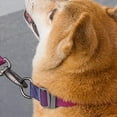 thumbnail image 4 of Nylon Dog Collar with Soft Lining - Padded, Metal Buckle, Medium and Large Dogs, Red Blue, M, 4 of 5