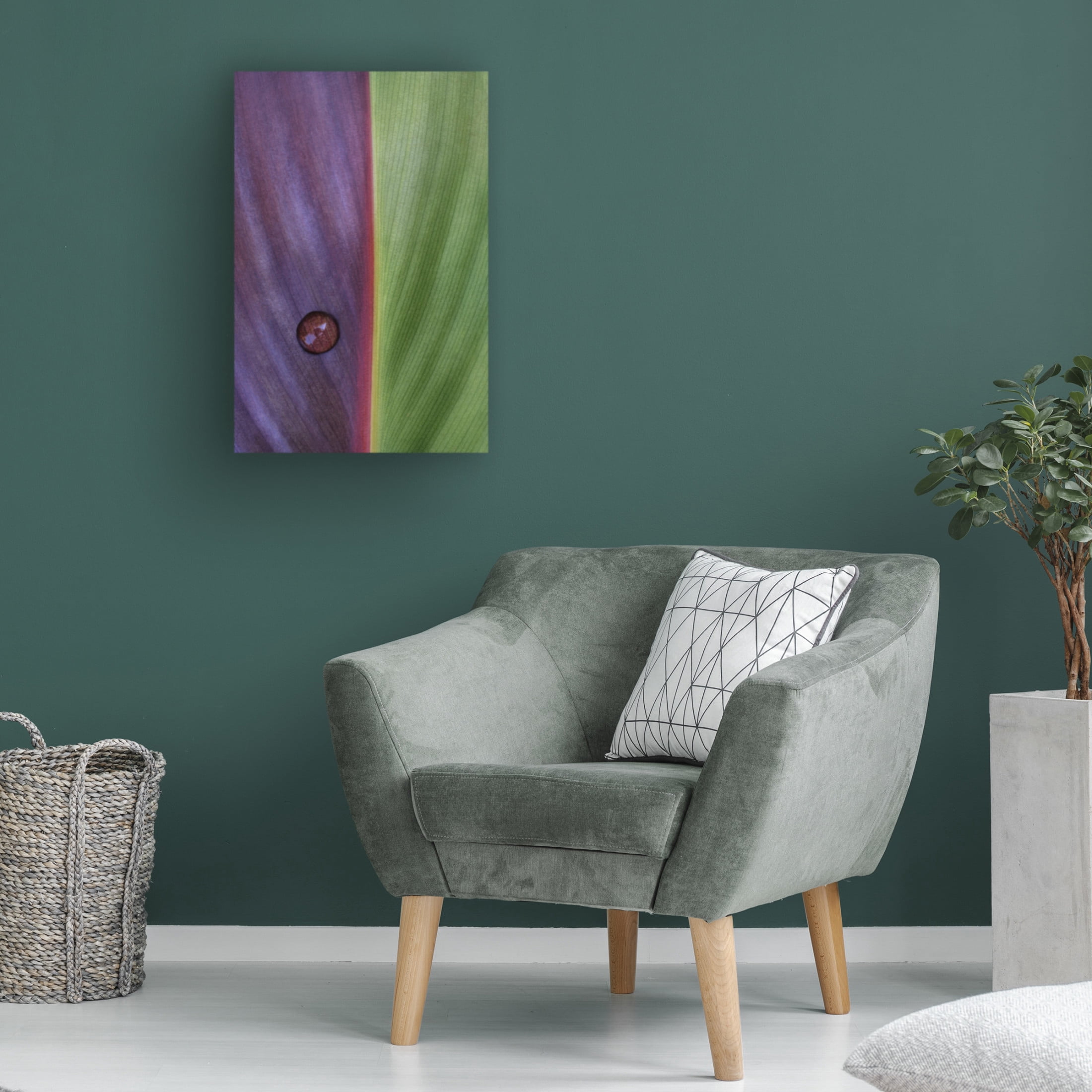 Canvas Wall Art - Stephen Clough 'Canna' Wall Art for Living Room, Bedroom, or Office D?cor by Trademark Fine Art - 12 x 19 Inches