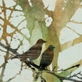 thumbnail image 3 of Masterpiece Art Gallery Botanical Birds I by Carol Robinson Canvas Art Print 22" x 28", 3 of 4