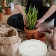 thumbnail image 4 of BRIGHTFUFU Base Para Plantas De Material PP Color Ideal Para Macetas En El Hogar, 4 of 8