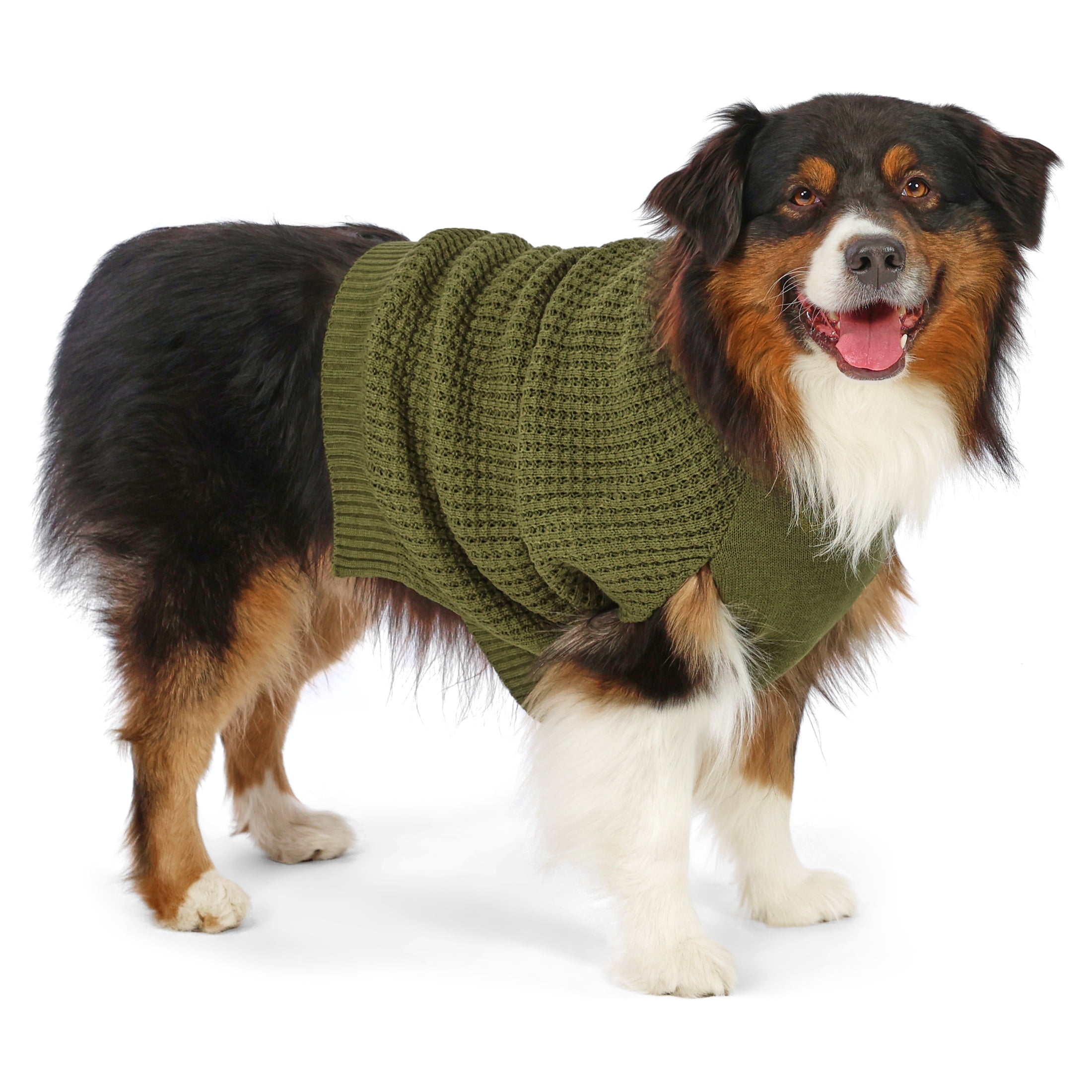 Vibrant Life Waffle Knit Sweater for Dogs, Green, L