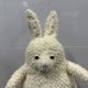 thumbnail image 2 of Jellycat-conejo de amor, juguete de peluche suave, muñeca bonita, regalo para bebé, 26cm, 2 of 5
