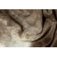 thumbnail image 4 of H-Natural Kobe Exotic Cowhide 6'X7', 4 of 5