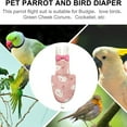 thumbnail image 5 of Hearth & Gear Parrot Pet Flying Suit Elastic Shoulder Strap Suitable For Parrots Xuanfeng Parrots Parrot Parrot Features: Dog Male Large for Poop Dogs Pants Disposable Male Dog Wraps Large Wheelchair, 5 of 5
