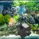 thumbnail image 4 of Bomba de agua sumergible ultra silenciosa NikouMX 6 W para acuario, 4 of 8