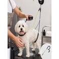 Pet Grooming Restraint, Suction Cup, Padded Loops, 24.4in Total Length ...
