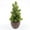 Green, variant on Hyknon Artificial Plants Home Decor Plastic Fake Plants Faux Greenery Tabletop for Living Room Indoor