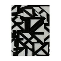 Trademark Fine Art 'Topographic I' Canvas Art by Rob Delamater