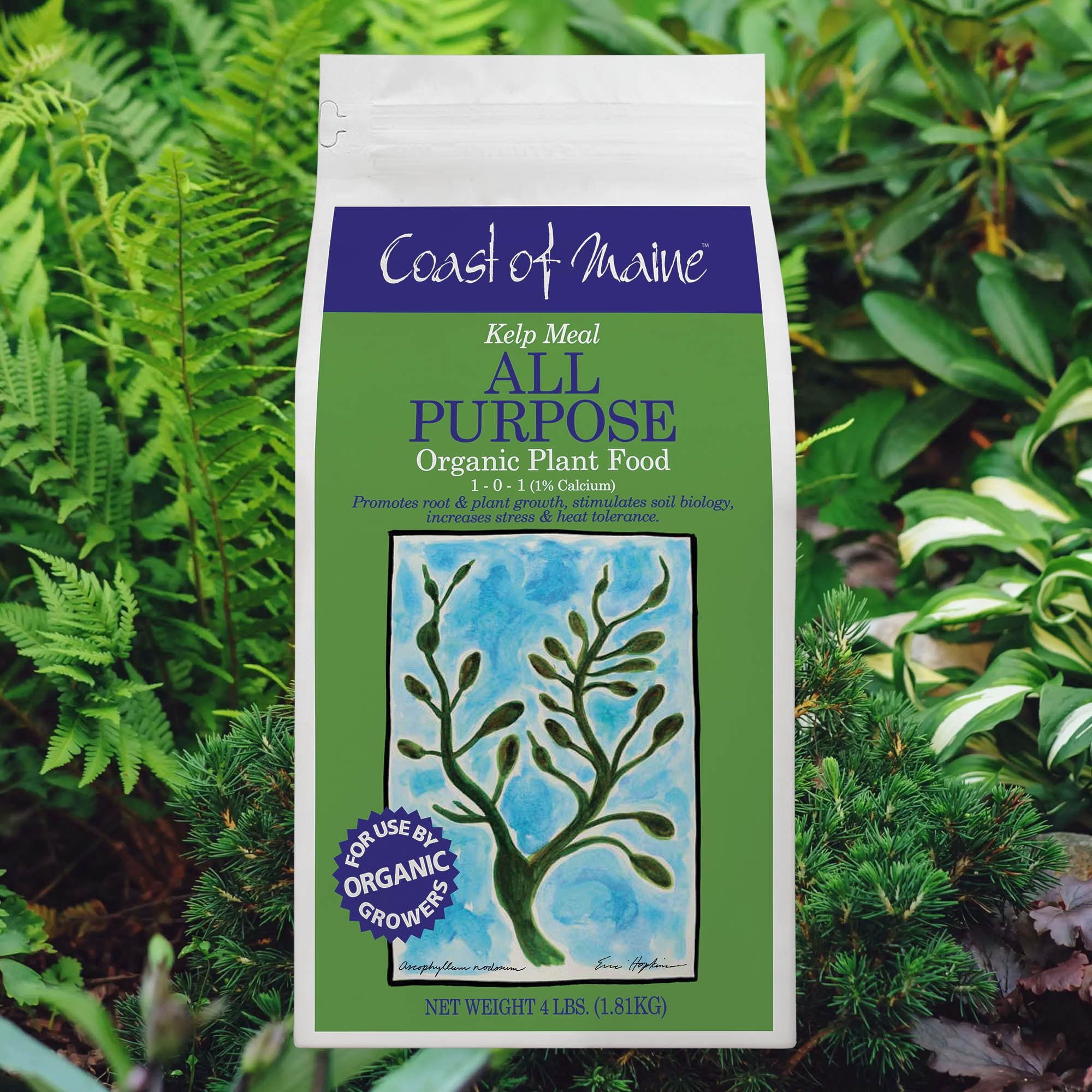 Coast of Maine 1-0-1 Kelp Meal All Purpose Organic Plant Food for Root and Plant Growth, 4lbs