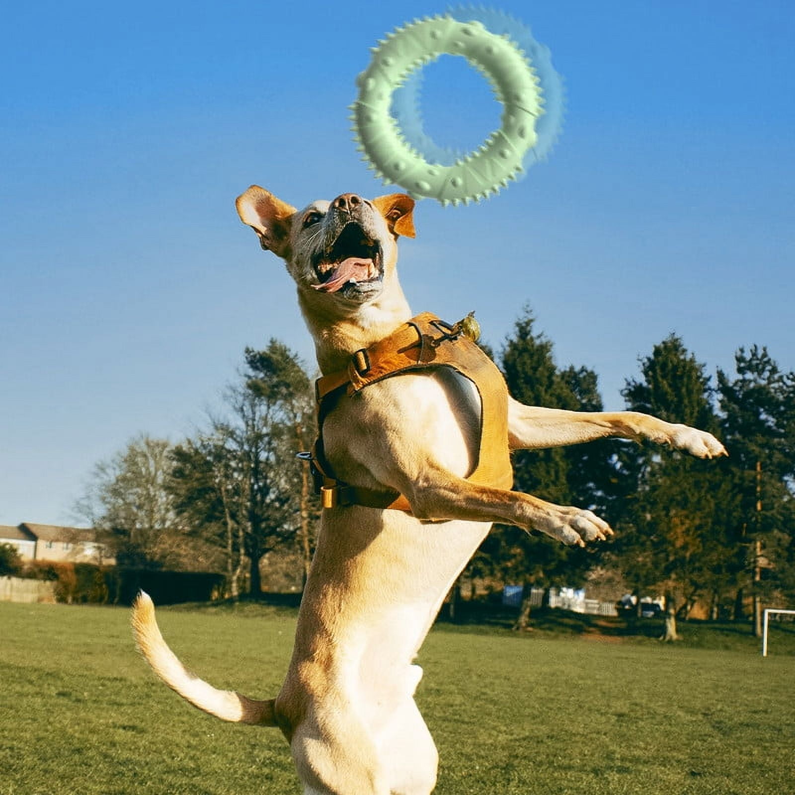 MZHICH 2 Pcs Circle Rubber Puppy Teething Toy for Small Medium Dogs