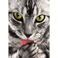 thumbnail image 3 of Cuadros Decorativos 5D costura hecha a mano decoración del hogar pintura de diamante completo bordado de gato aterrador Ndcxsfigh Nuevos Originales, 3 of 9