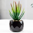 thumbnail image 2 of Artificial Succulent Plant Mini - Plastic Greenery Decoration Faux Potted Plant, 2 of 5
