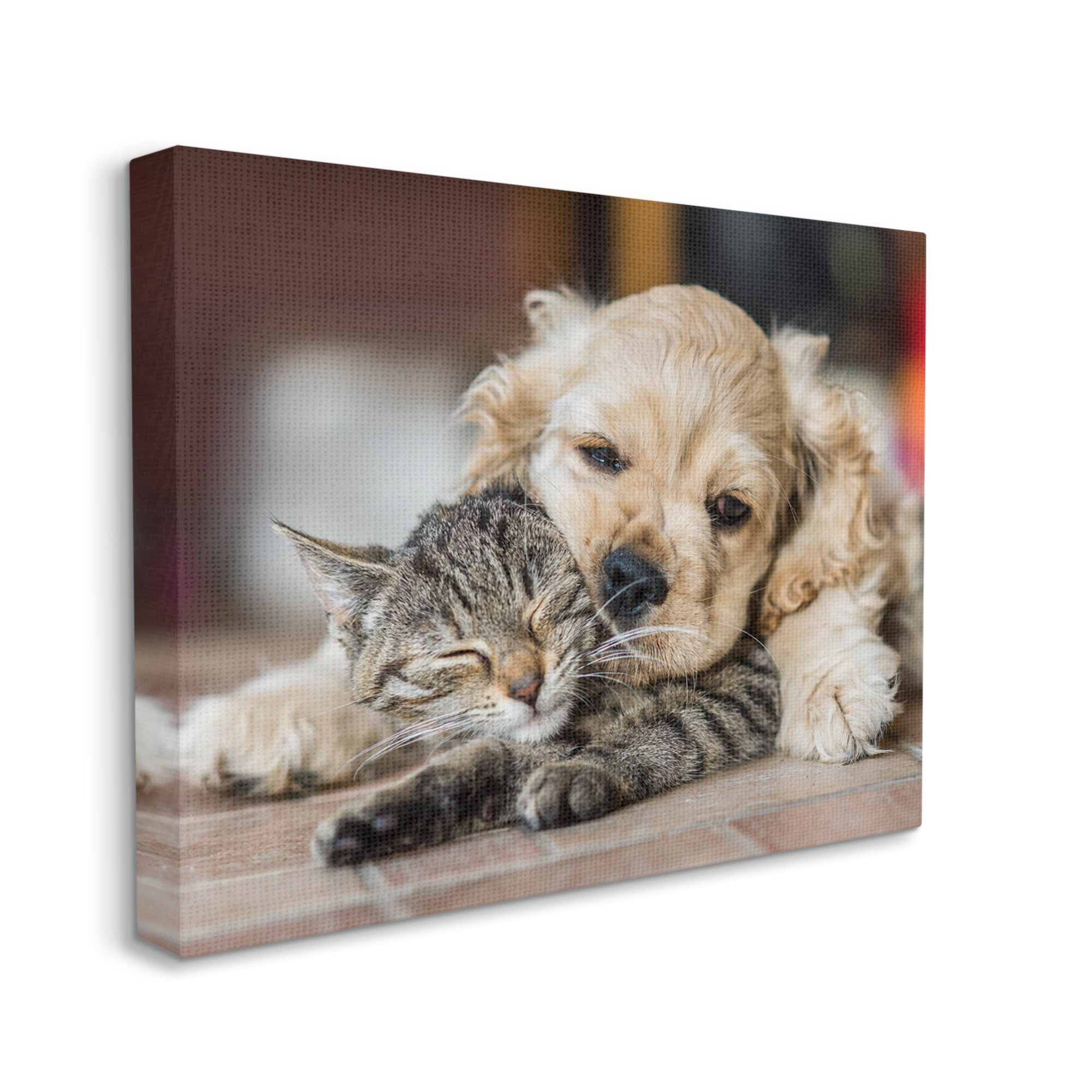 Stupell Industries Cat & Puppy Cuddling Animals & Insects Photography Gallery Wrapped Canvas Art Print Wall Art, 30 x 24