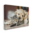 thumbnail image 4 of Stupell Industries Cat & Puppy Cuddling Animals & Insects Photography Gallery Wrapped Canvas Art Print Wall Art, 20 x 16, 4 of 8