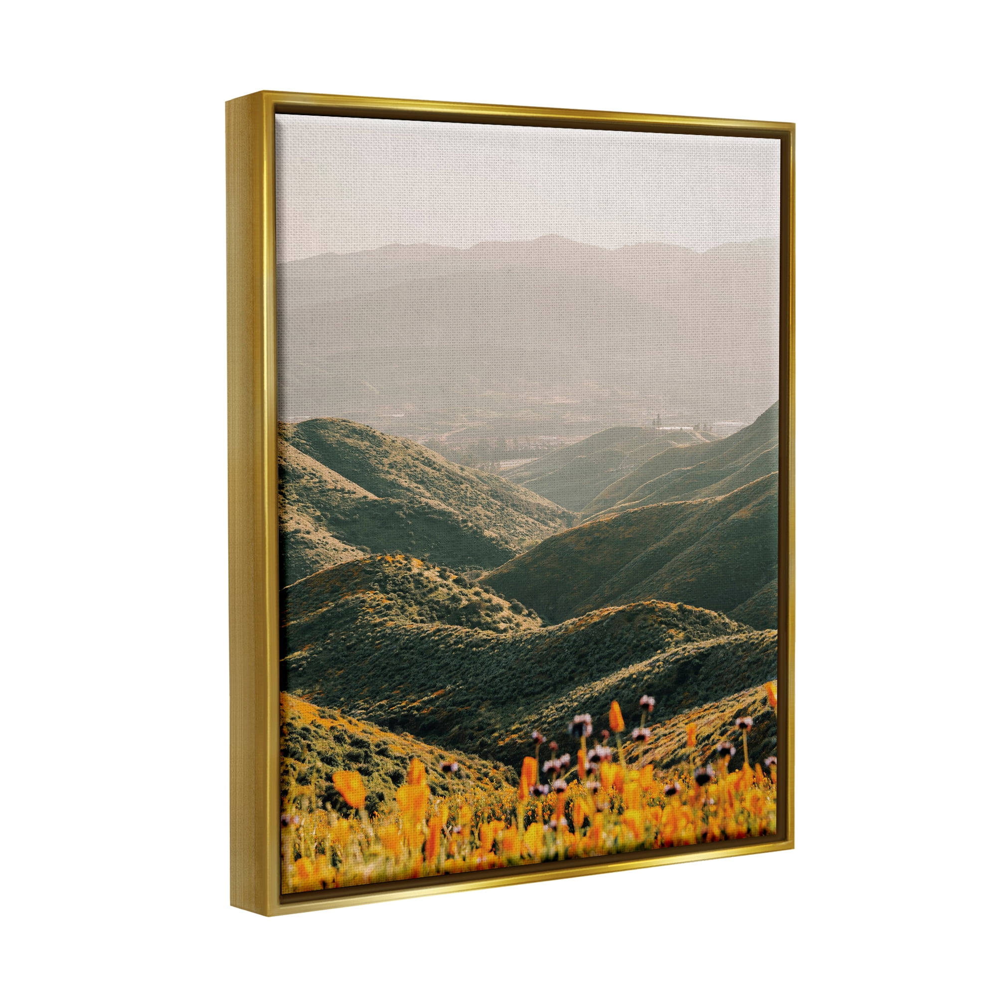 Stupell Industries Rolling Hills Meadow Landscape Landscape Photography Gold Floater Framed Art Print Wall Art