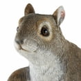 thumbnail image 5 of CLIMBING "CHIP" SQUIRREL DECOR, 5 of 10