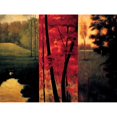 thumbnail image 3 of Thomas, Neil 24x19 Black Modern Framed Museum Art Print Titled - Point of View II, 3 of 5