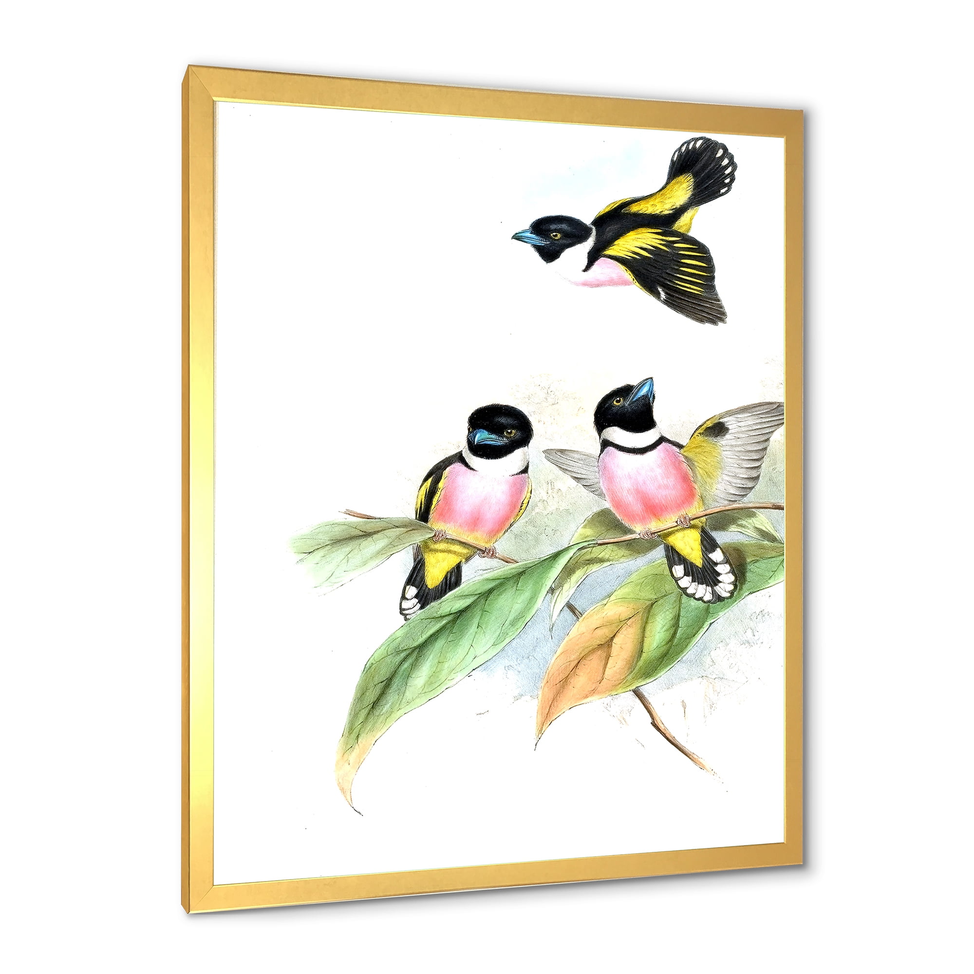 Designart 'Ancient Birds III' Traditional Framed Art Print