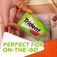 thumbnail image 6 of Trident Sugar Free Watermelon Twist Xylitol Chewing Gum, 14 pieces, 3 Wallet Packs, 6 of 9
