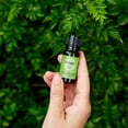 thumbnail image 2 of Edens Garden Peppermint Around The World Essential Oil- 100% Pure Premium Grade, Undiluted, Natural, Therapeutic, Aromatherapy, The Best for Diffuser, Candle, Laundry, Humidifiers 10 ml (.33 fl oz), 2 of 8