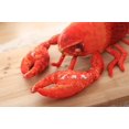 thumbnail image 2 of Creative Plush Simulation Crayfish Doll Pippi Shrimp Plush Toy Pillow, 2 of 5