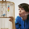 thumbnail image 3 of AMERTEER Parrot Toys Metal Rope Small Ladder Stand Budgie Cockatiel Cage Bird Toy Set, 3 of 8