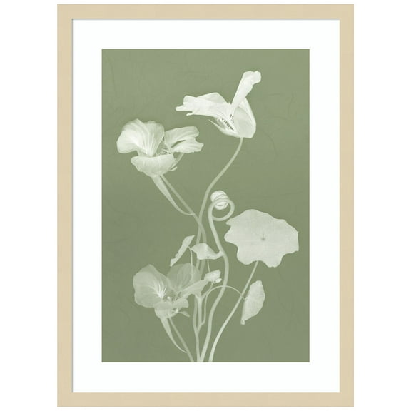 Amanti Art Floral Dance III Wood Framed Wall Art Print