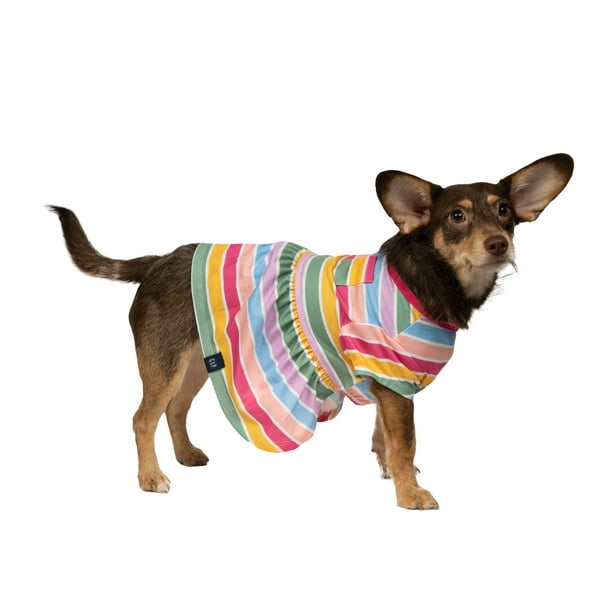 Gap Pet, Dog and Cat Clothes, Striped Gap Dog Dress, Multi-Color, S ...