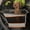 Gray, variant on K&H Pet Products Buckle N' Go Dog Car Seat for Pets Gray Large 21 X 19 X 19 Inches