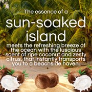 Air Wick Scented Oil Vibrant Refill Island Coconut & Warm Sands, 5 Count