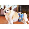thumbnail image 5 of Barkertime Dreamy Dog Washable Dog Belly Band Male Wrap - Made in USA, 5 of 9