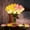 Mixed Without Vase, variant on Radiant Romantic Tulip Light with a Vase, 15 PCS Twinkling Tree Tulips Led Night Light that Never Fade, 2026 New Flower Shaped Ambient Night Lamp for Bedroom Bedside Decor & Gift