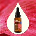 thumbnail image 3 of Sérum facial Plant Therapy Rose con bakuchiol 30 ml con extracto, 3 of 8