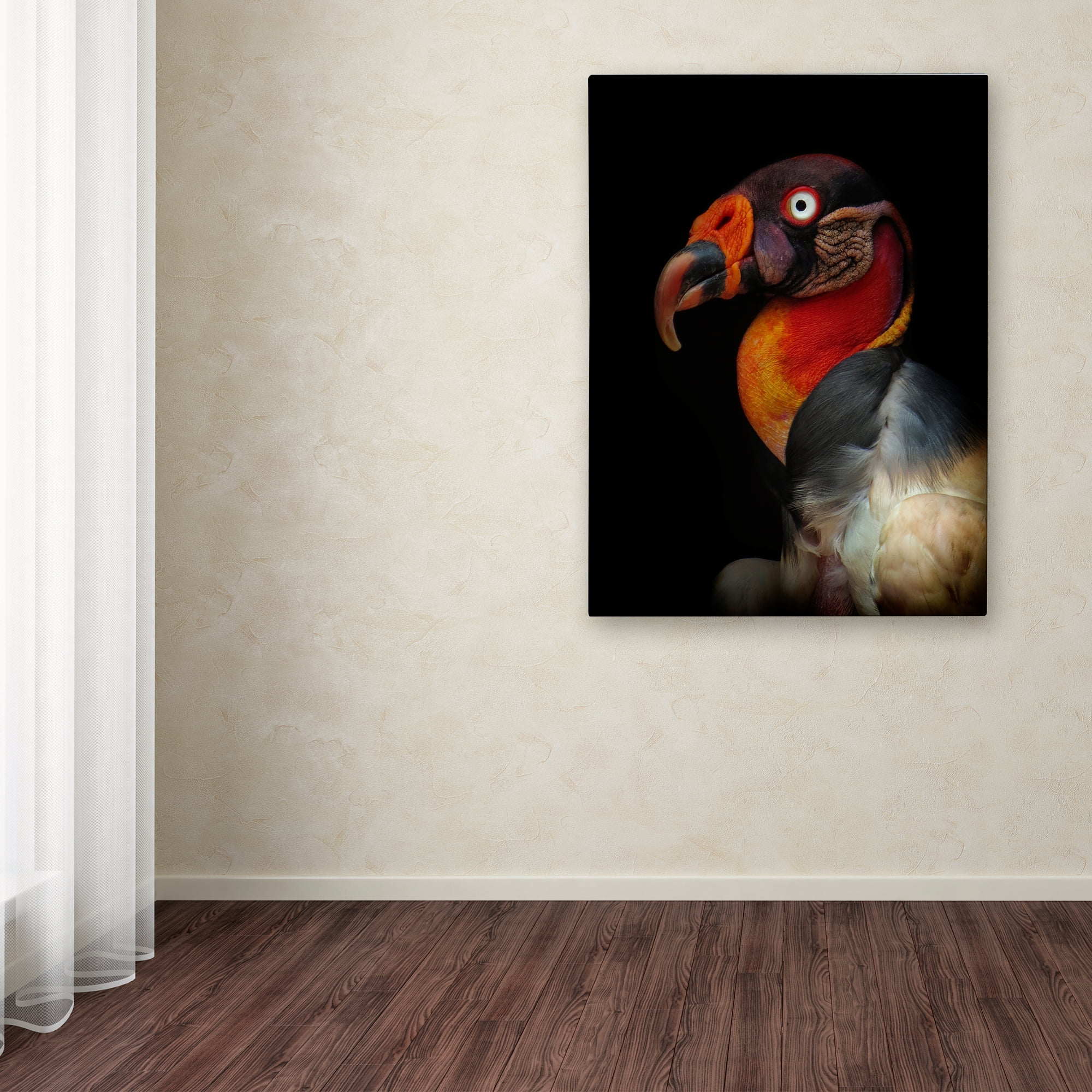 Trademark Fine Art 'King Vulture' Canvas Art by Ferdinando Valverde