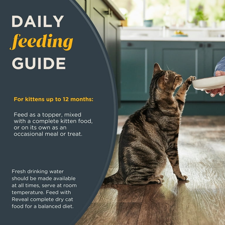 Reveal Pet Food Wet Kitten Food Tuna Fillet in Broth 2.47oz Cans Walmart