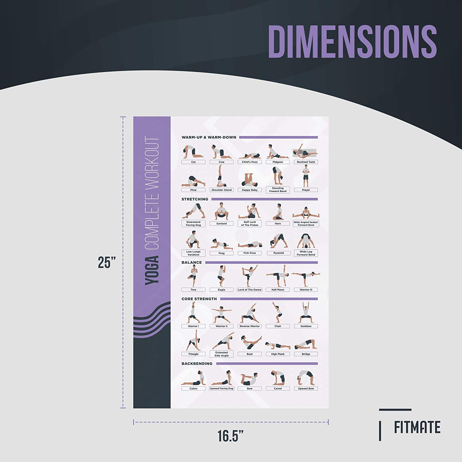 Workout Poster Dumbbell Exercise Poster Laminated, Free Weight Strength Ww 14127702 - View #6