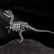 thumbnail image 1 of Kit de maquetas de rompecabezas de metal 3D JOMIOD Dilophosaurus para adultos, 1 of 8