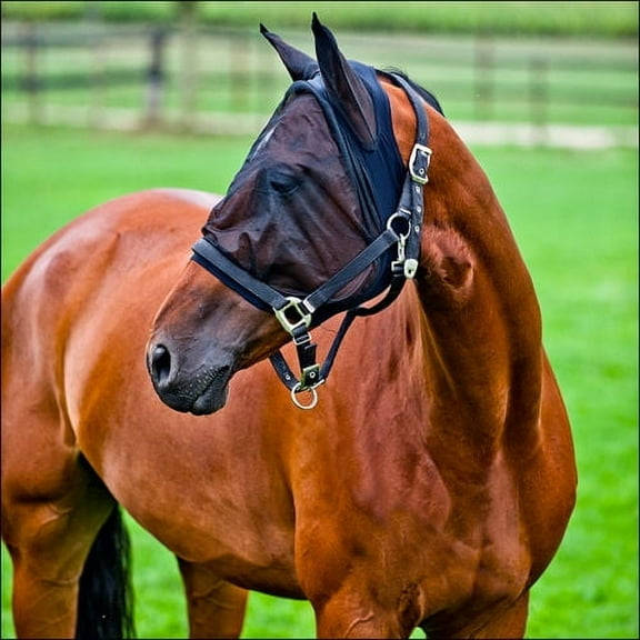 Airflow   FABRIC FLEECE MESH  FlyMask SPANDEX BLACK 73243C